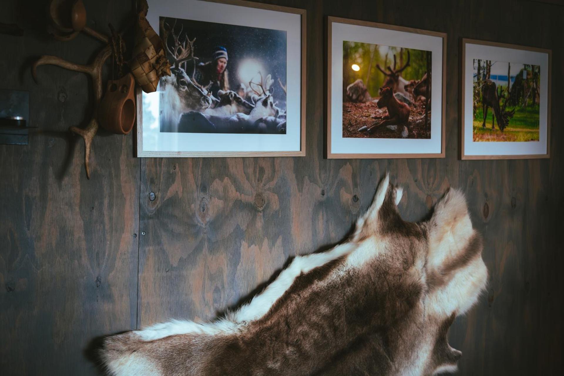Reindeer Lodge Юккасъярви Экстерьер фото